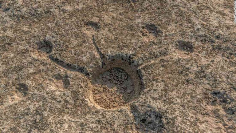 Strange ancient symbols found on the sands of Qatar by scientists