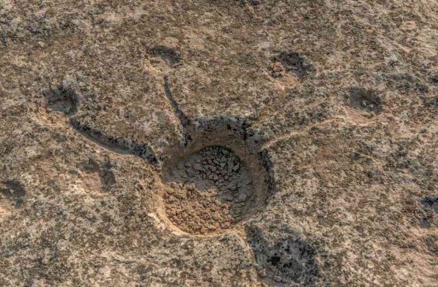 Strange ancient symbols found on the sands of Qatar by scientists