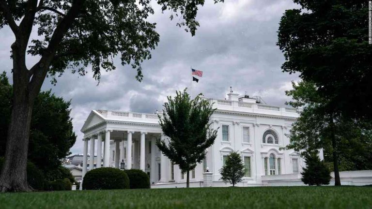 Hamburglar replacing butler at White House
