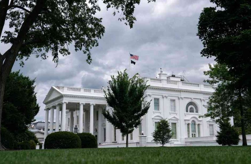 Hamburglar replacing butler at White House